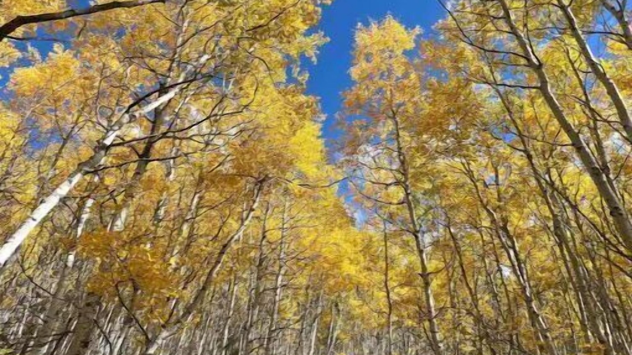 Photo of Outdoor in Deadwood
