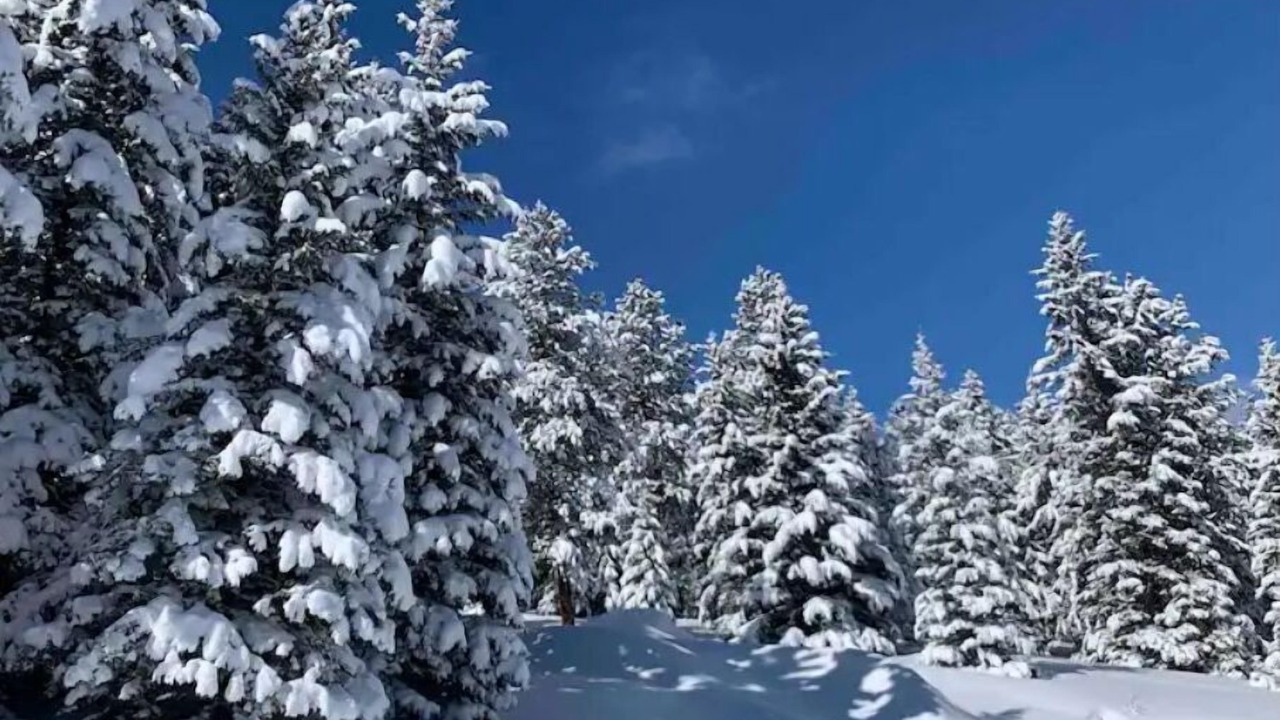 Photo of Outdoor in Deadwood
