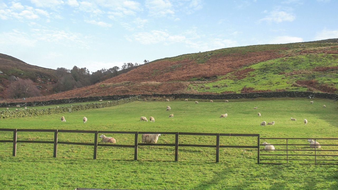 Photo of Others in Great Fryup Dale