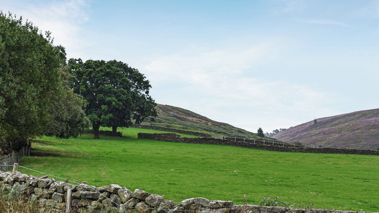 Photo of Others in Great Fryup Dale
