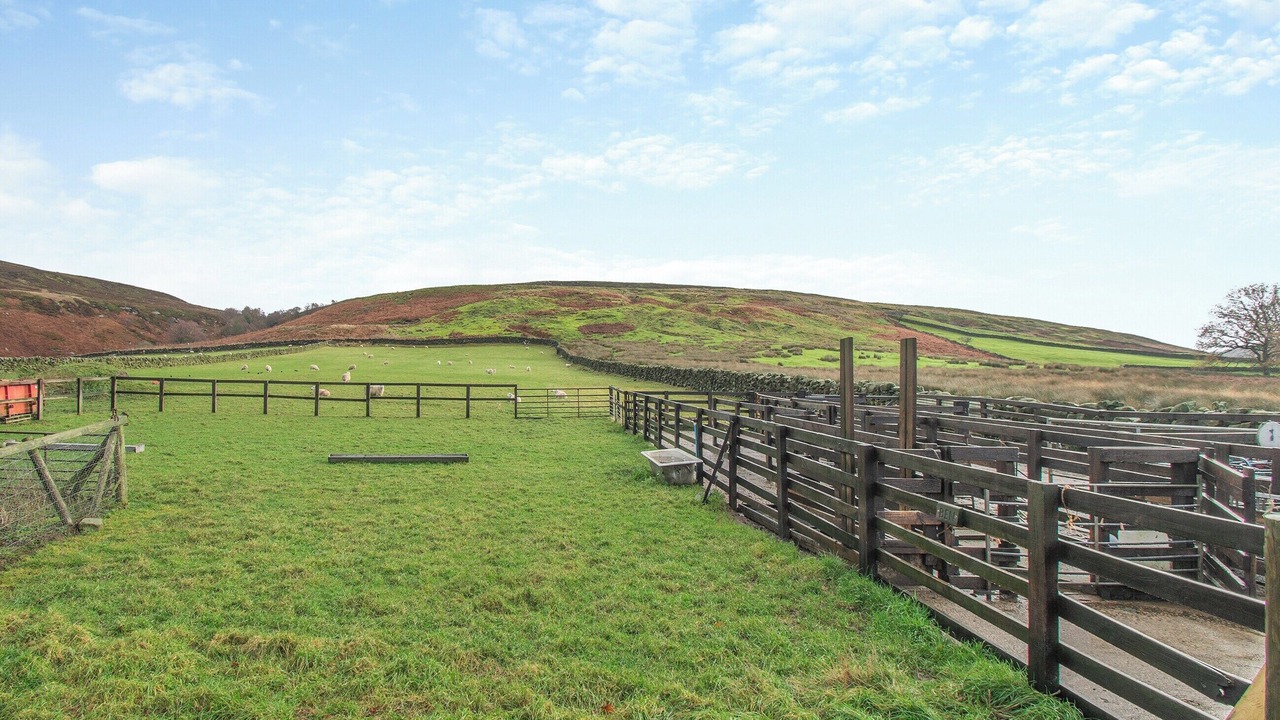 Photo of Others in Great Fryup Dale
