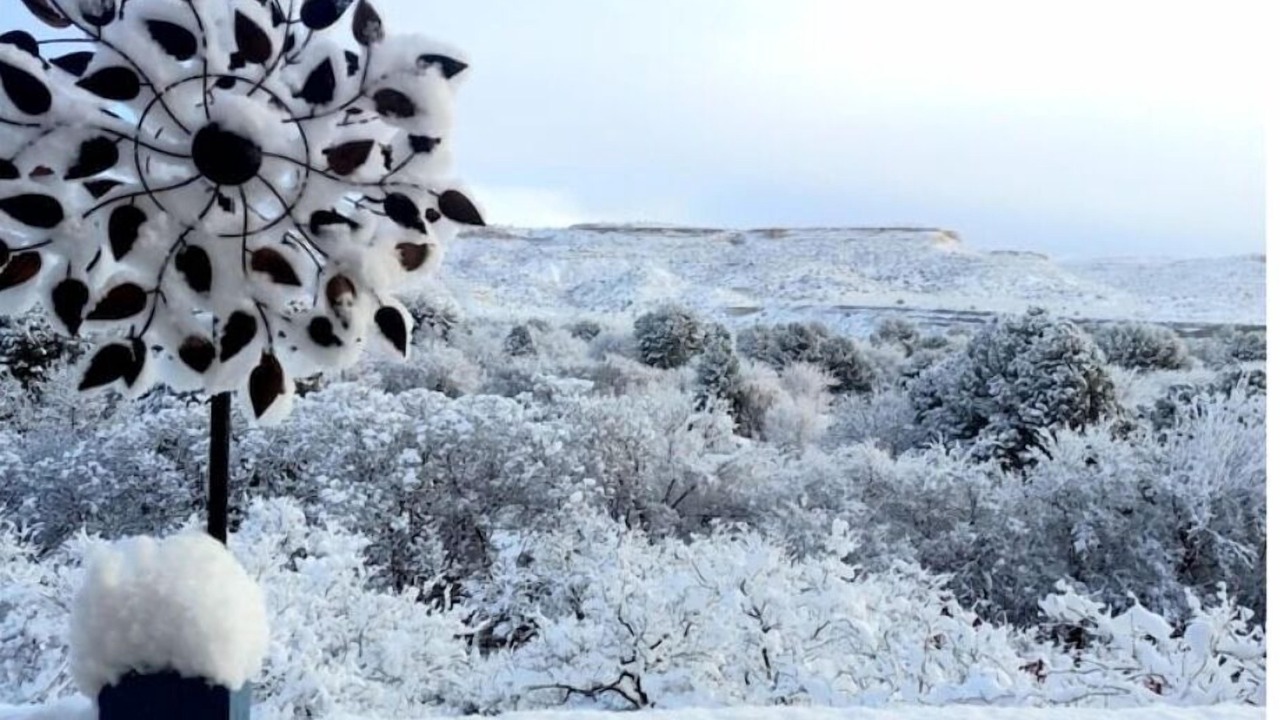 Photo of Others in Camp Verde