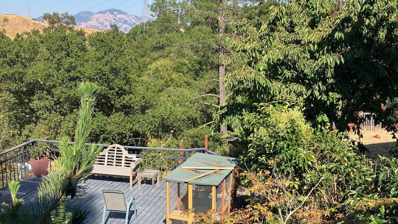 Photo of Others in Moraga