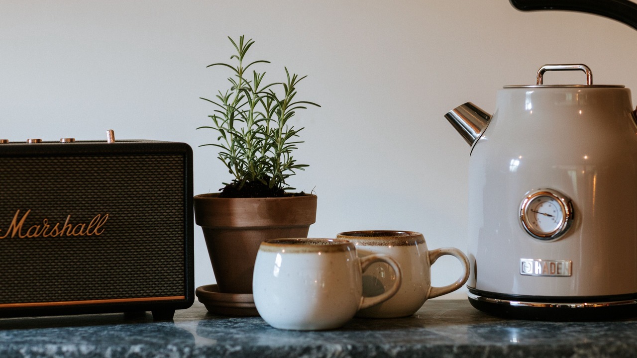 Photo of Others in Mount Tremper