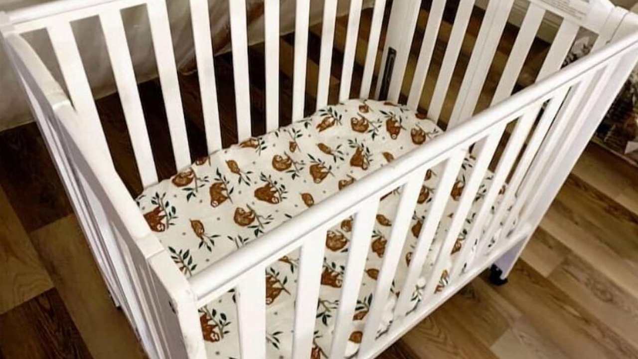 Photo of Others in McCammon