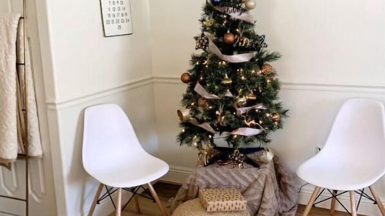 Photo of Others in McCammon