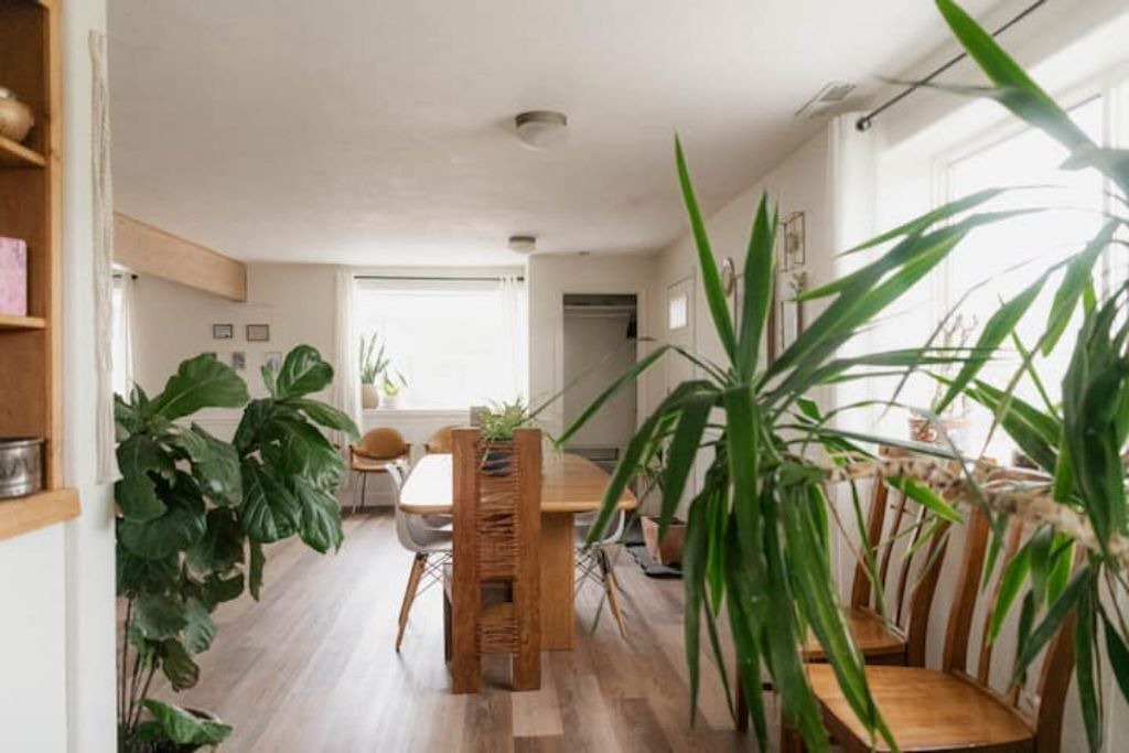 Photo of Others in McCammon