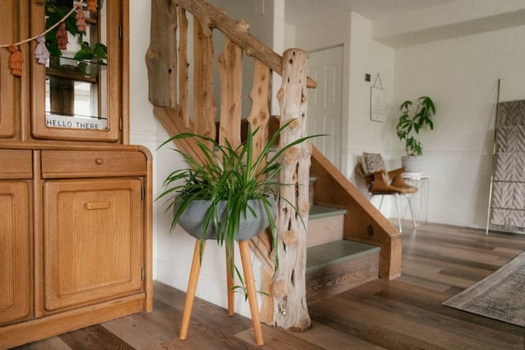 Photo of Others in McCammon