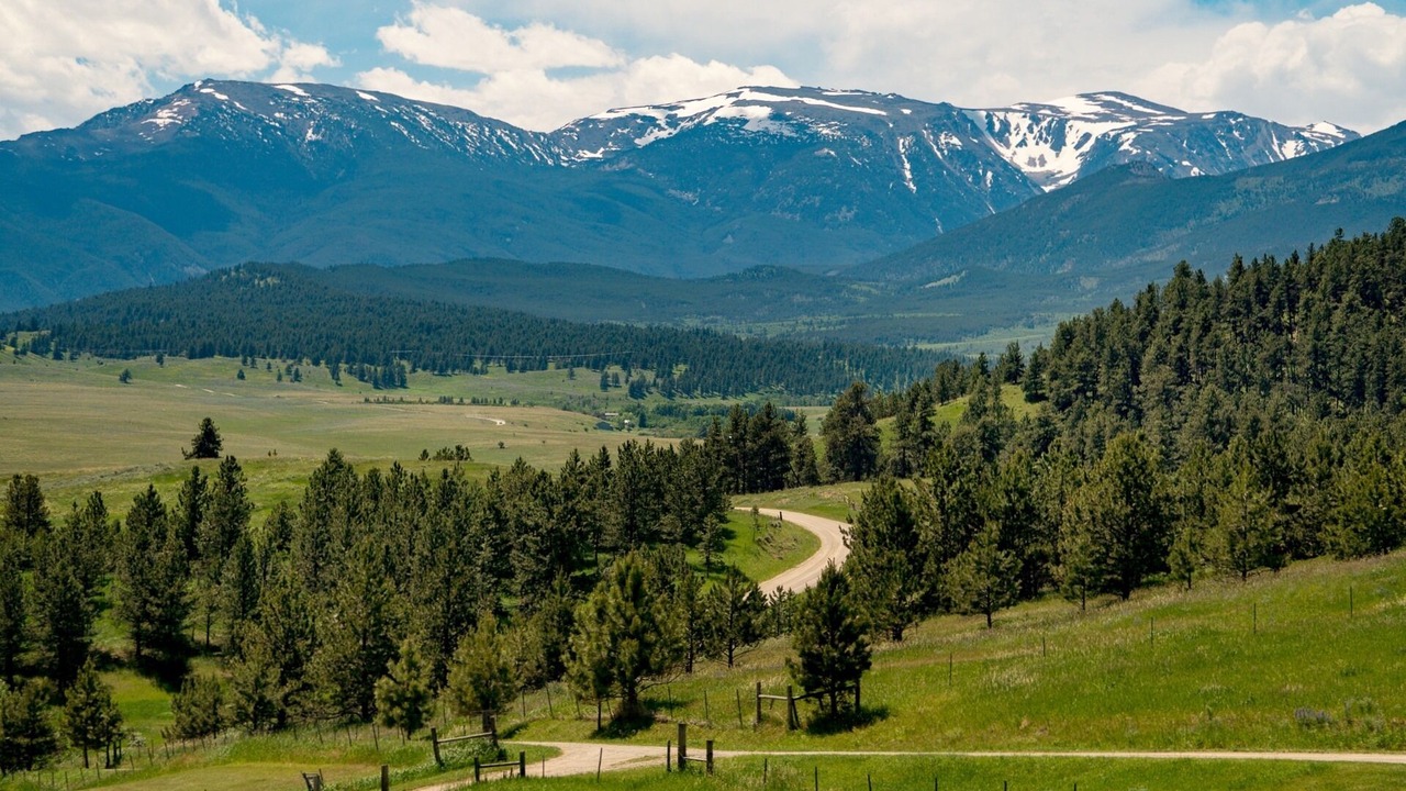 Photo of Others in Fishtail