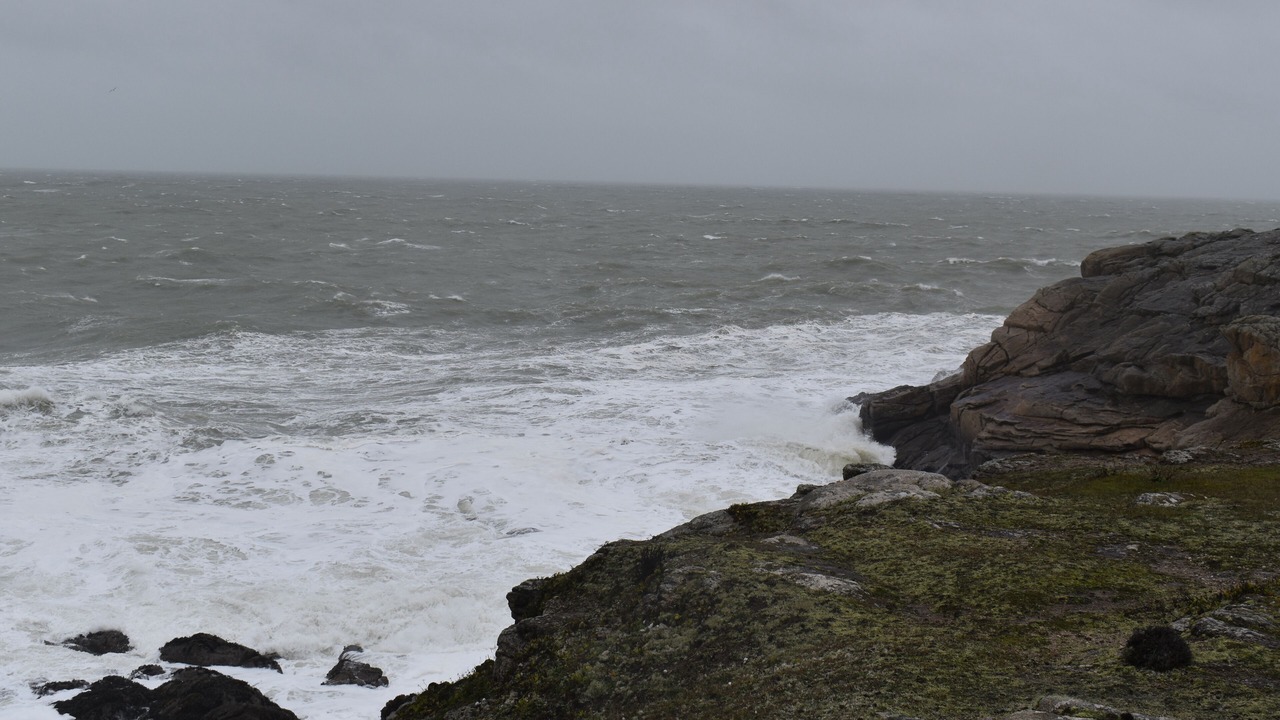 Photo of Others in Batz-sur-Mer