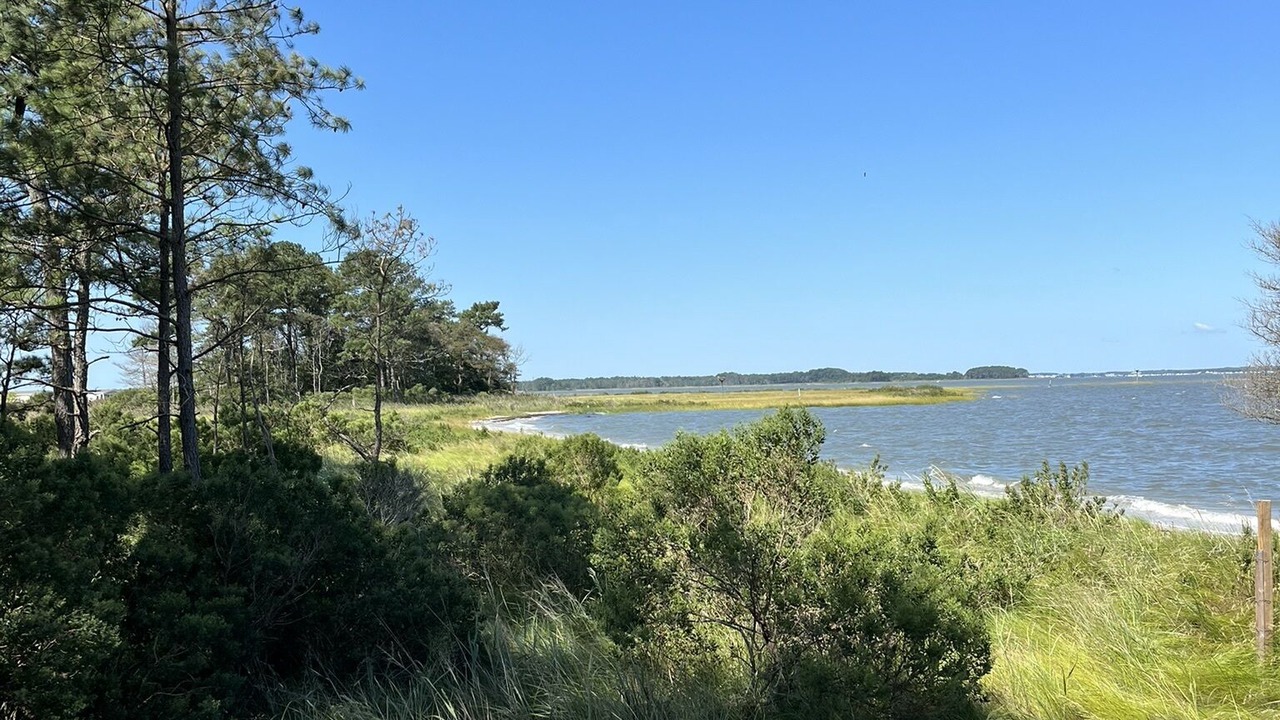 Photo of Others in Cedar Neck
