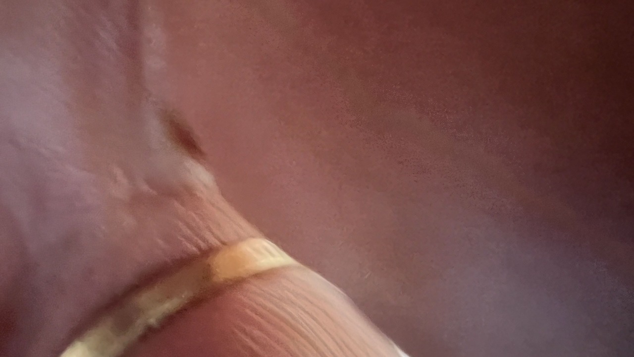 Photo of Bedroom in Sacramento