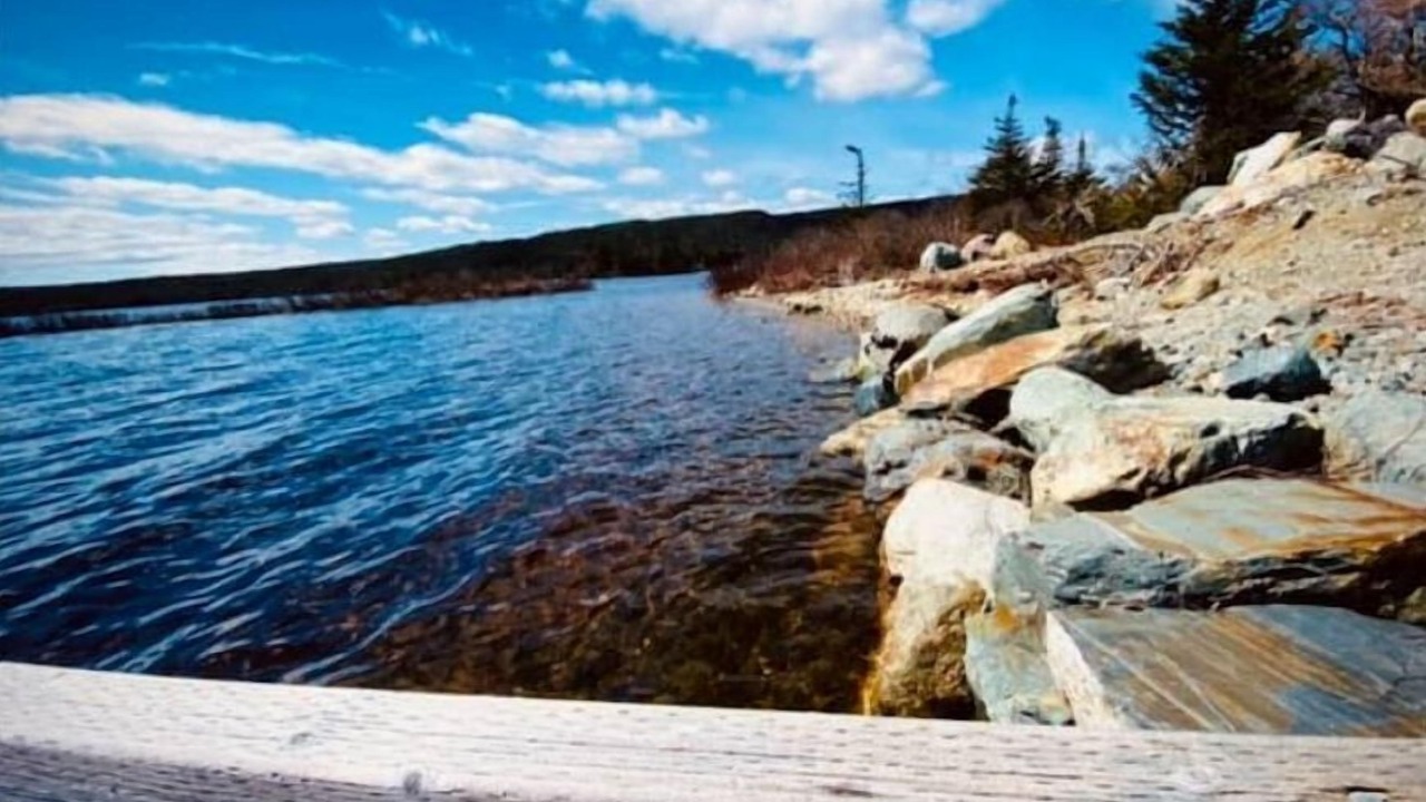 Photo of Others in Cape Broyle