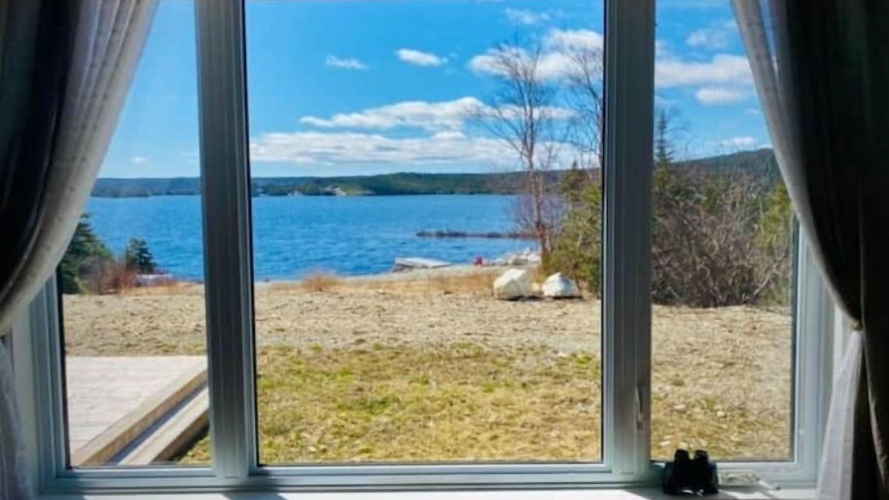 Photo of Others in Cape Broyle