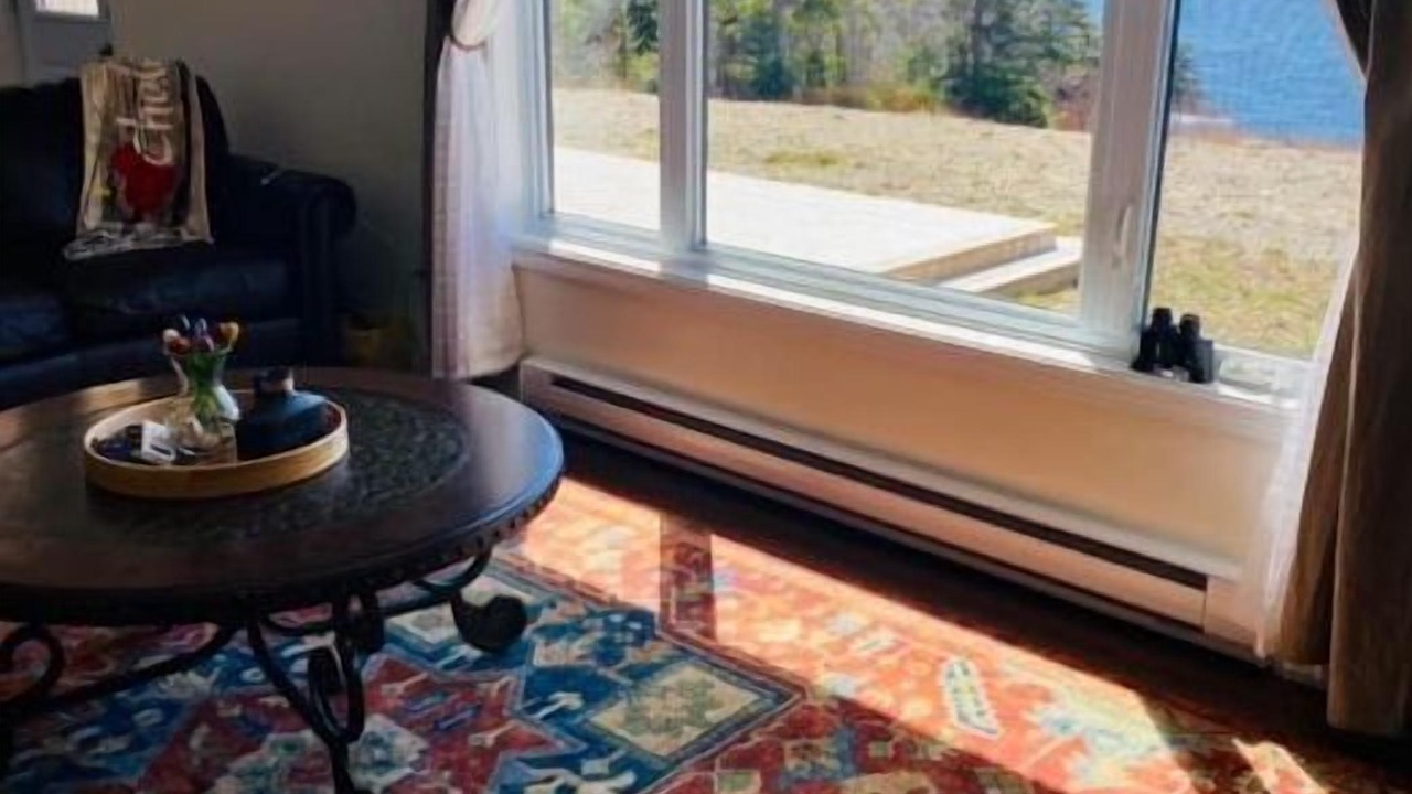 Photo of Others in Cape Broyle