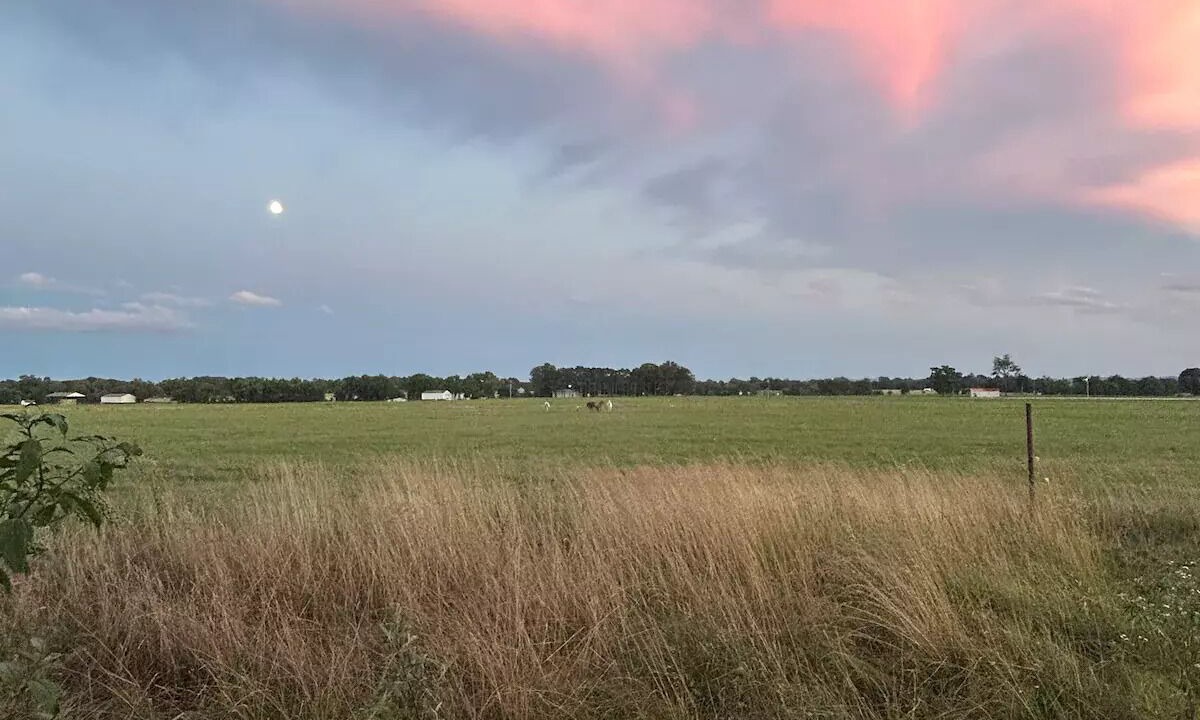 Photo of Outdoor in South Yocum Township
