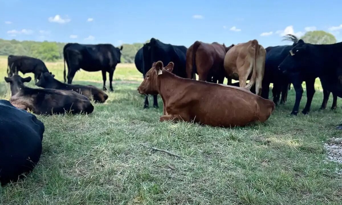 Photo of Others in South Yocum Township