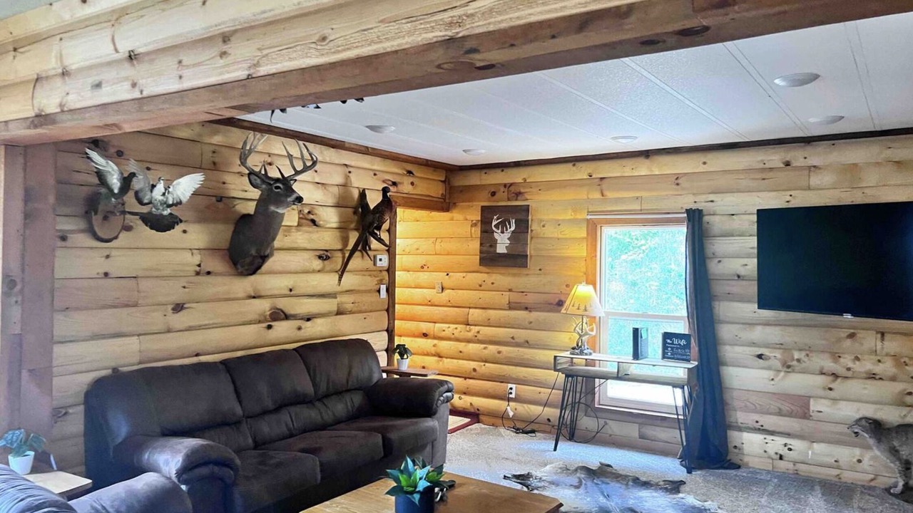 Photo of Livingroom in Lansing