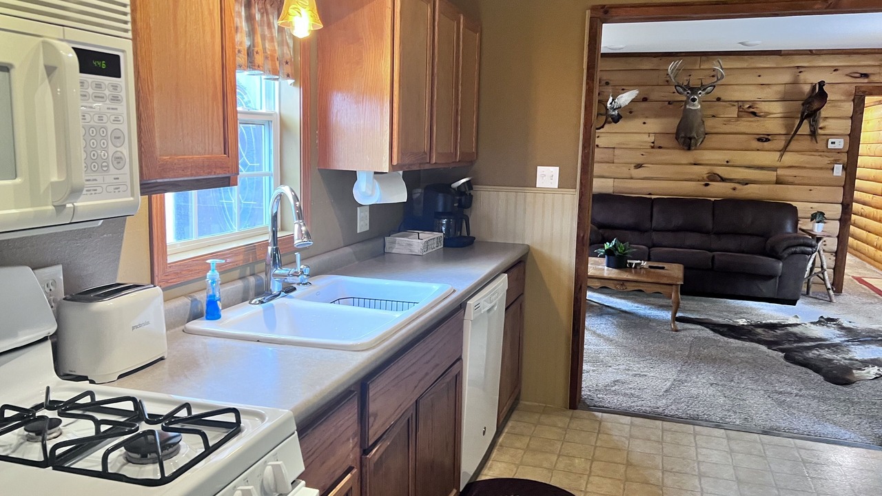 Photo of Kitchen in Lansing