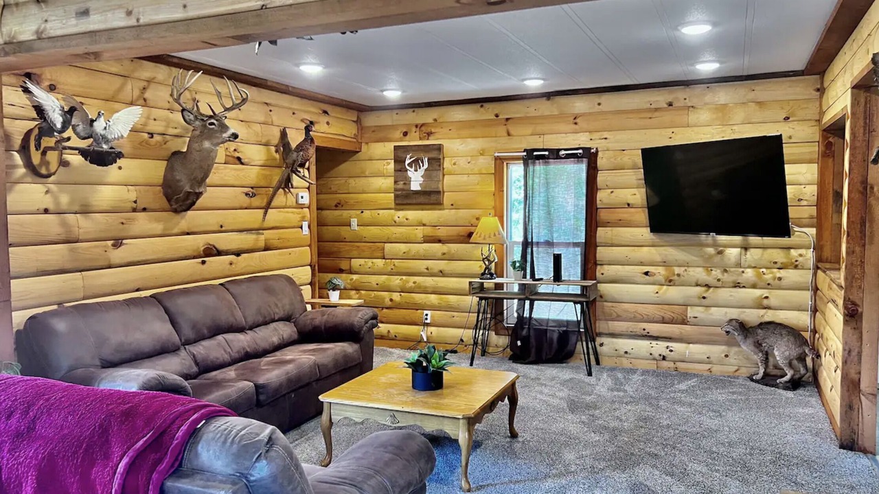Photo of Livingroom in Lansing