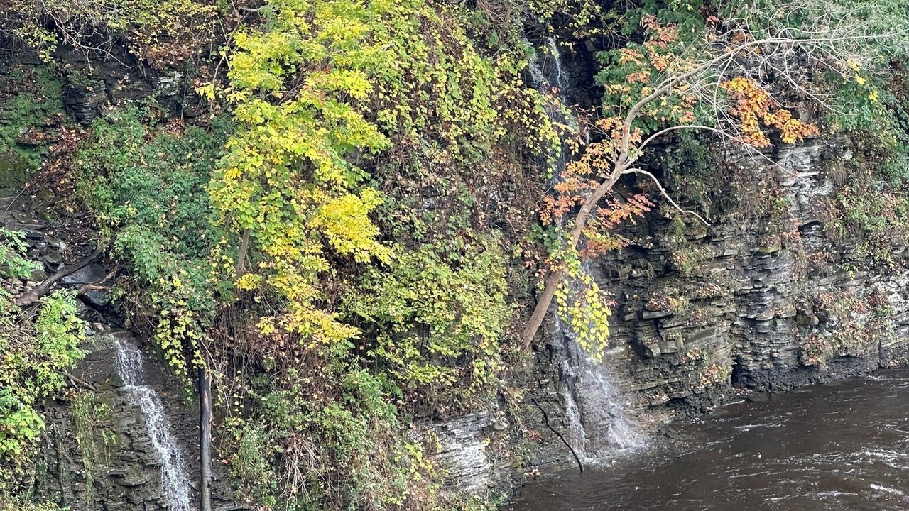 Photo of Others in Pulaski