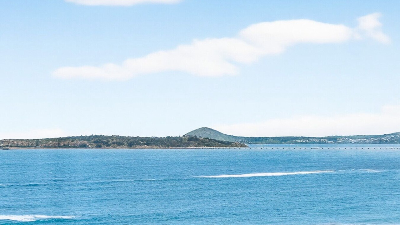 Photo of Others in Hayborough