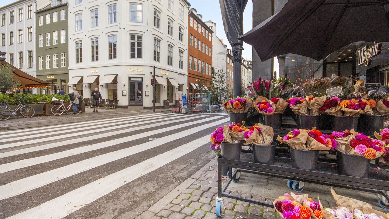 Photo of Others in Copenhagen City Centre