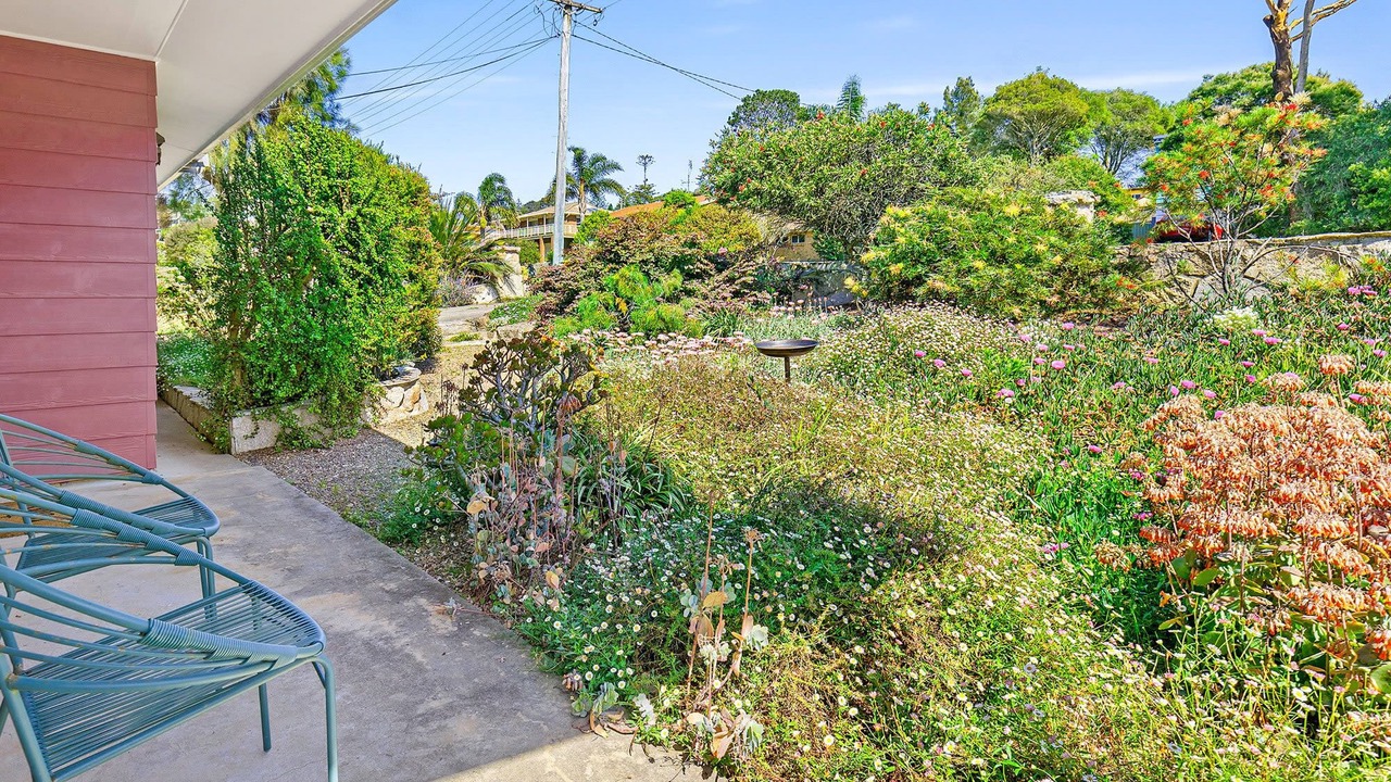 Photo of Others in Tuross Head