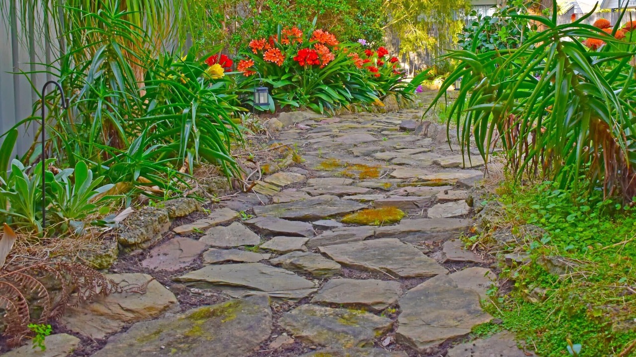 Photo of Outdoor in Tuross Head