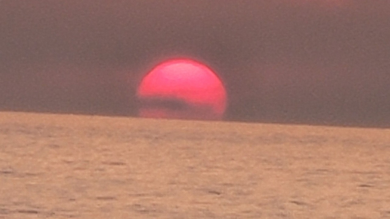 Photo of Others in Gulf Lagoon Beach