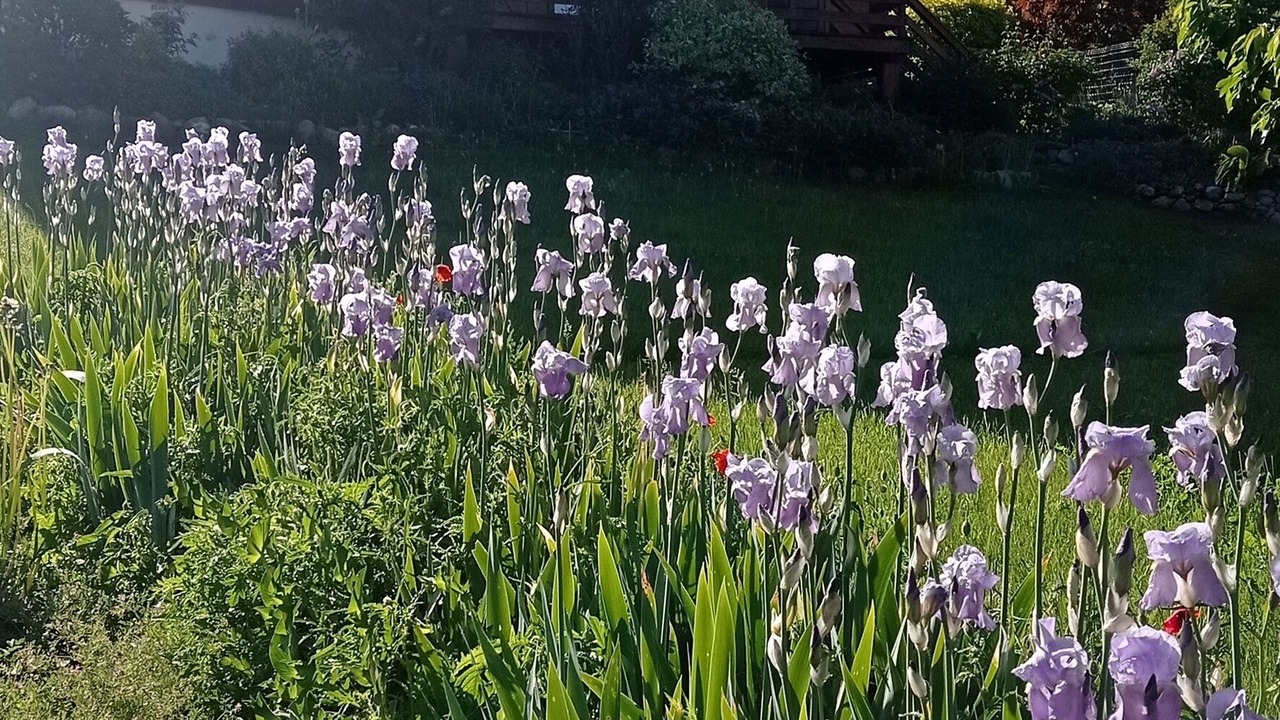 Photo of Outdoor in Les Sagnieres