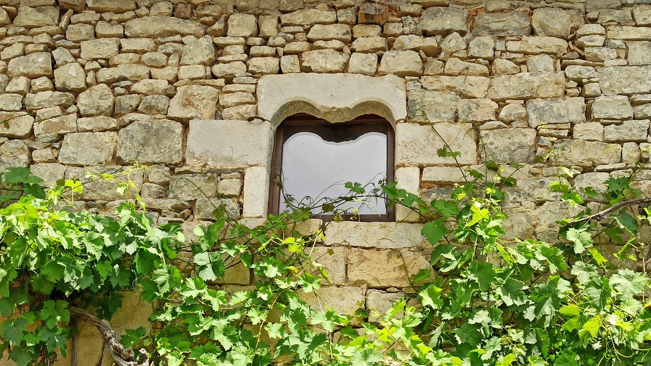 Photo of Outdoor in Iza