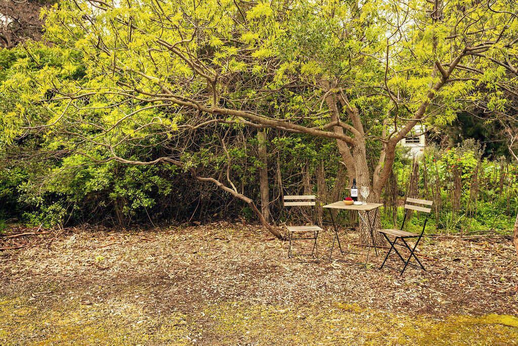 Photo of Outdoor in Willunga