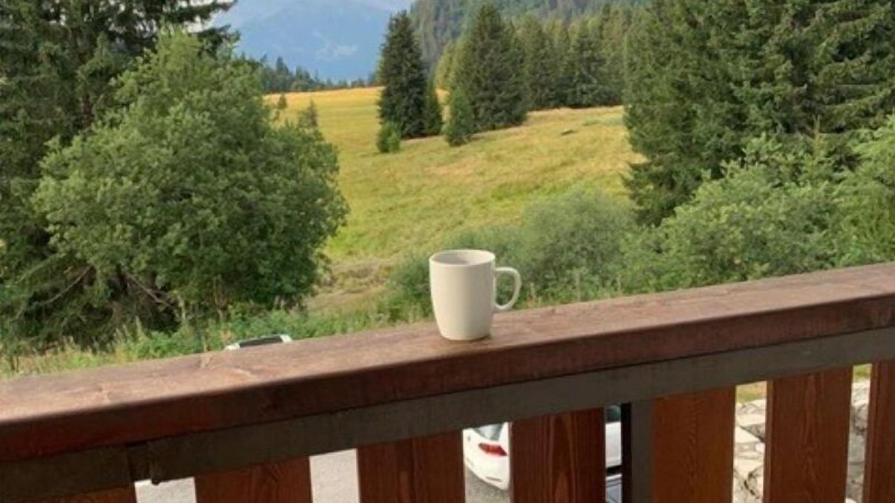 Photo of Outdoor in Le Praz de Lys