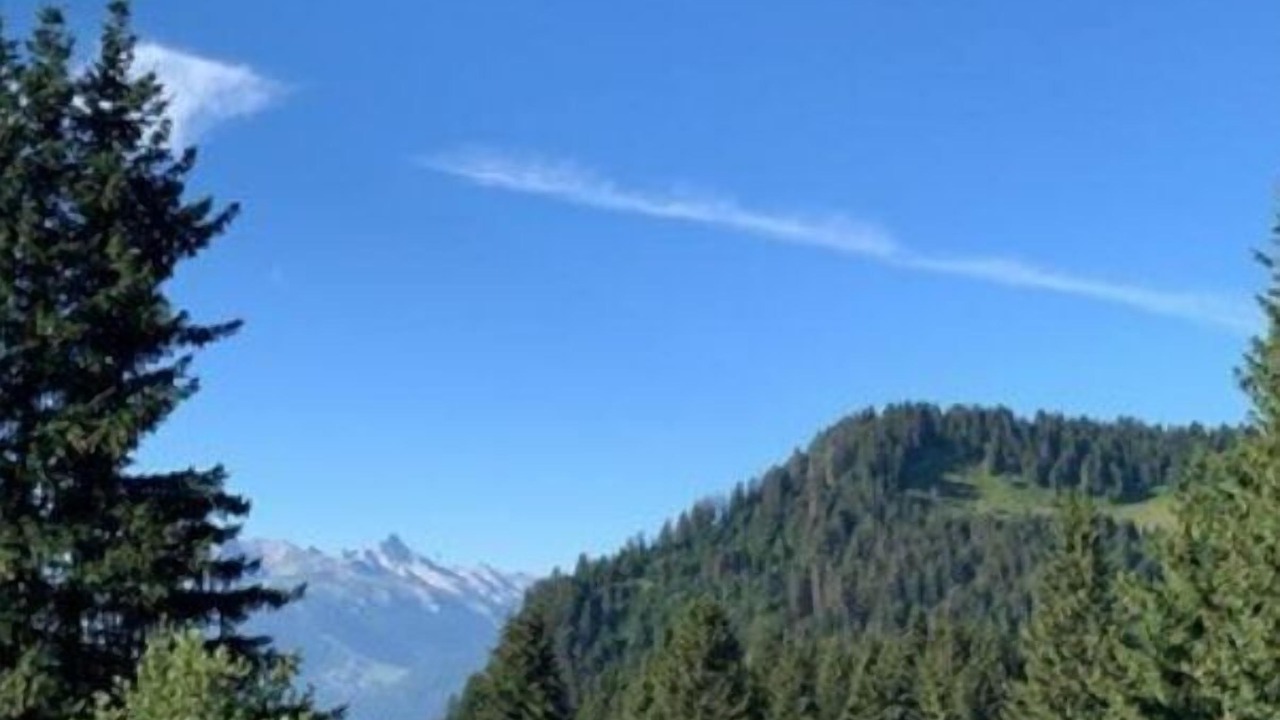 Photo of Others in Le Praz de Lys