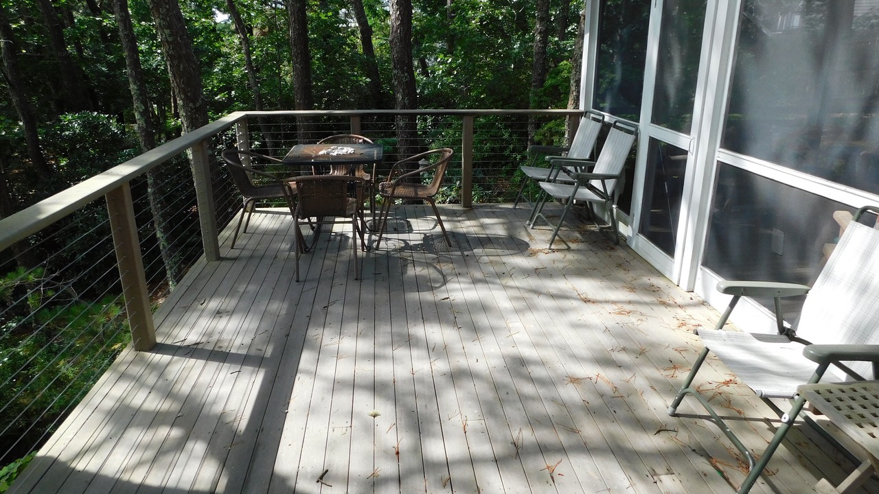 Photo of Outdoor in Indian Neck Heights