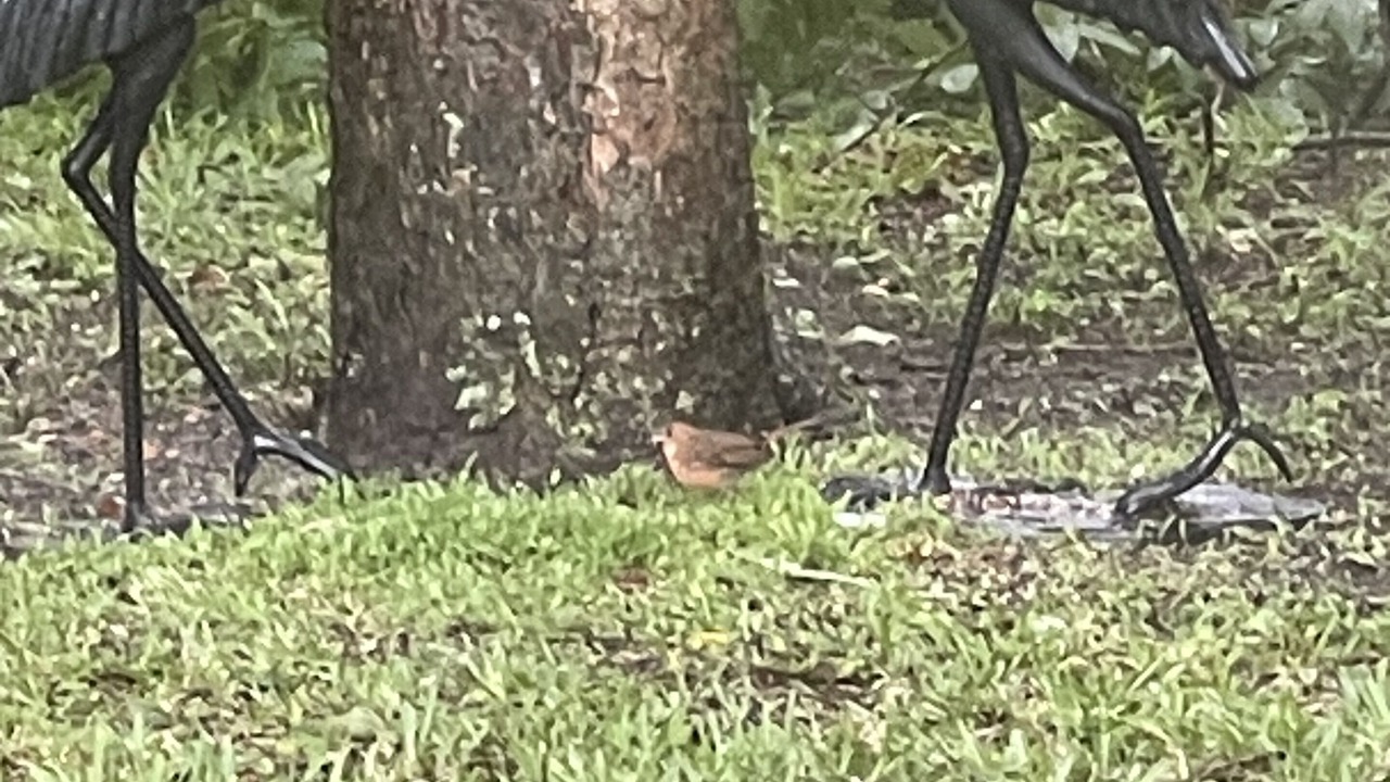 Photo of Outdoor in Jacksonville