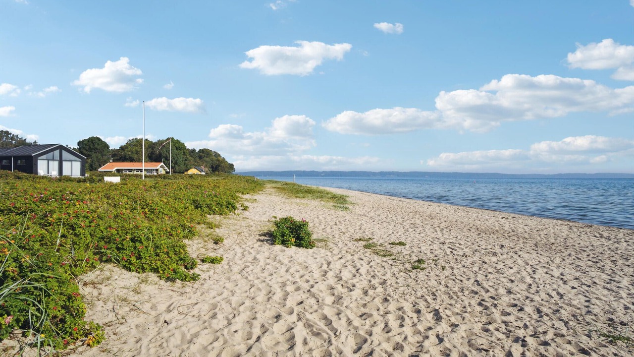 Photo of Others in Hvidbjerg Strand