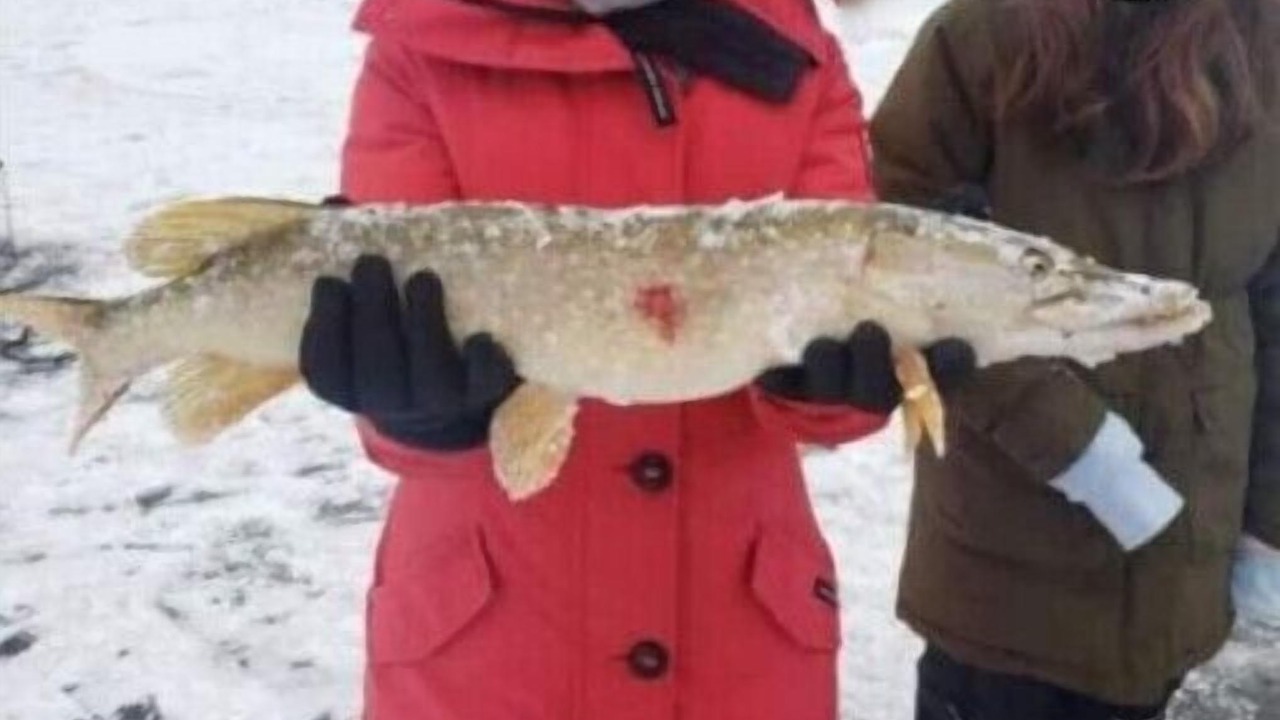 Photo of Others in Casselman