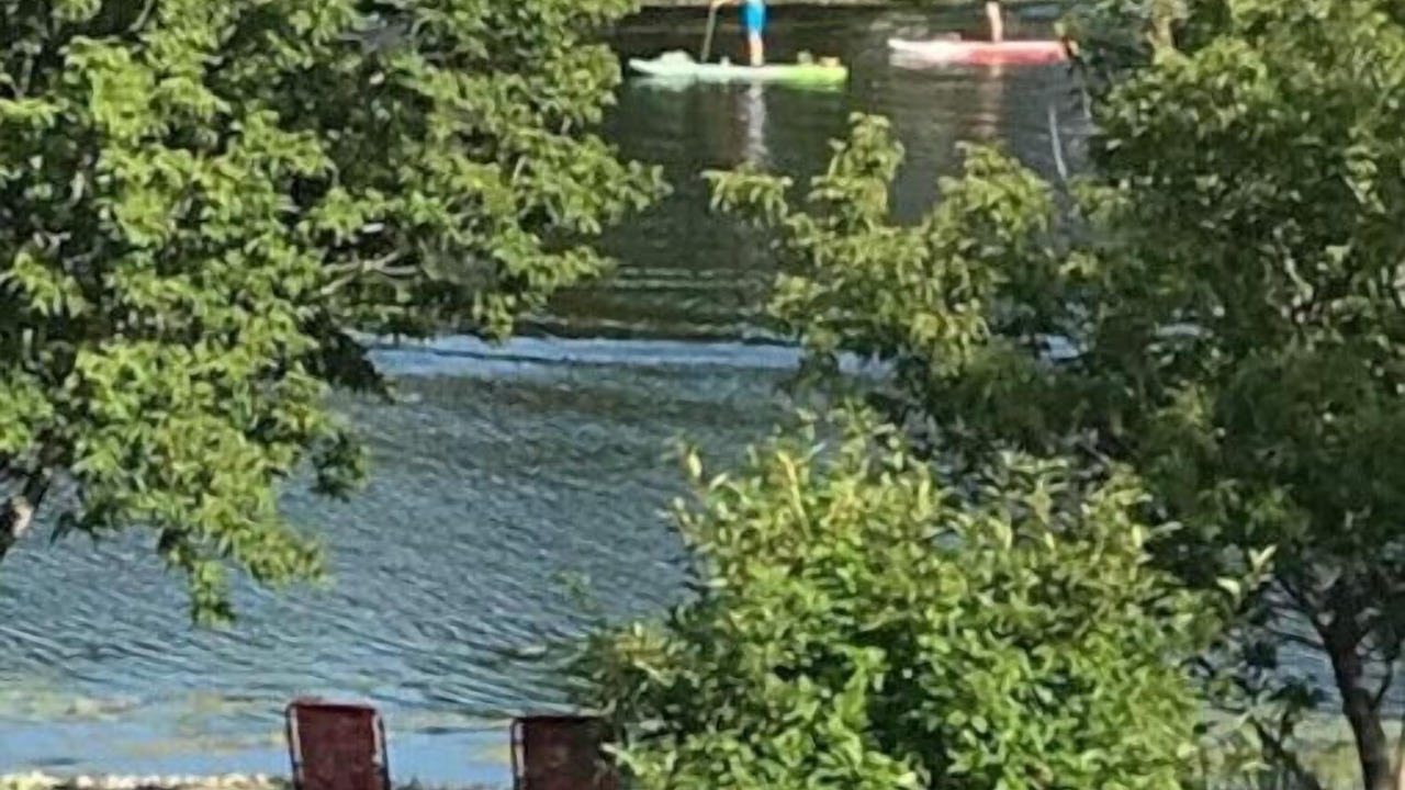 Photo of Others in Casselman