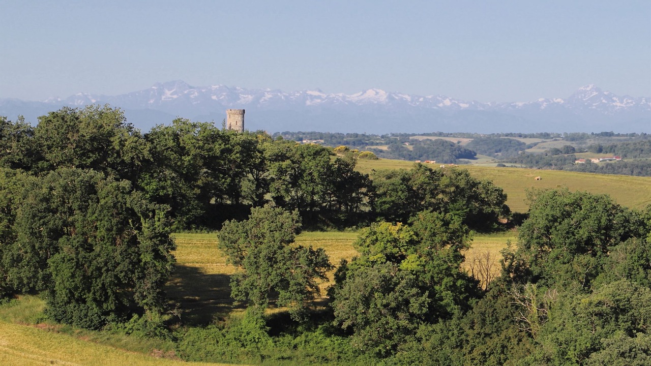 Photo of Others in Saint-Lizier-du-Plante