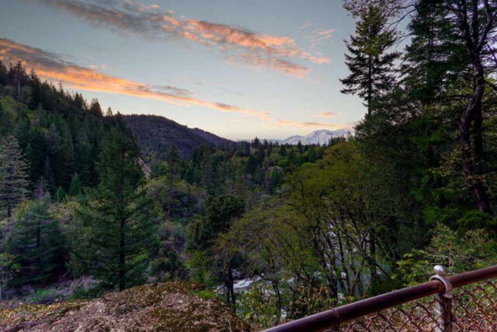 Photo of Others in Dunsmuir