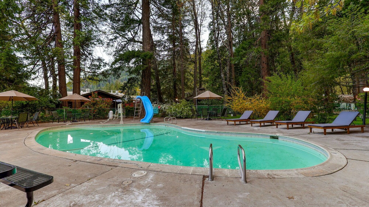 Photo of Others in Dunsmuir