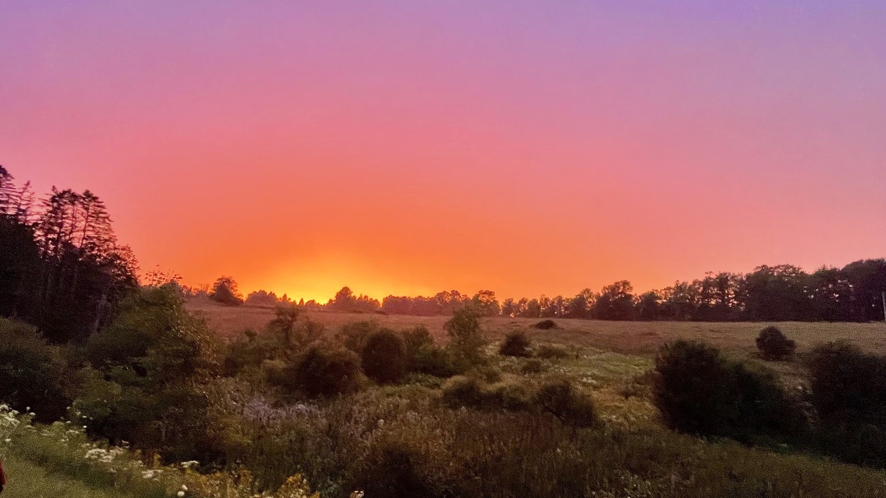 Photo of Others in Ludlow