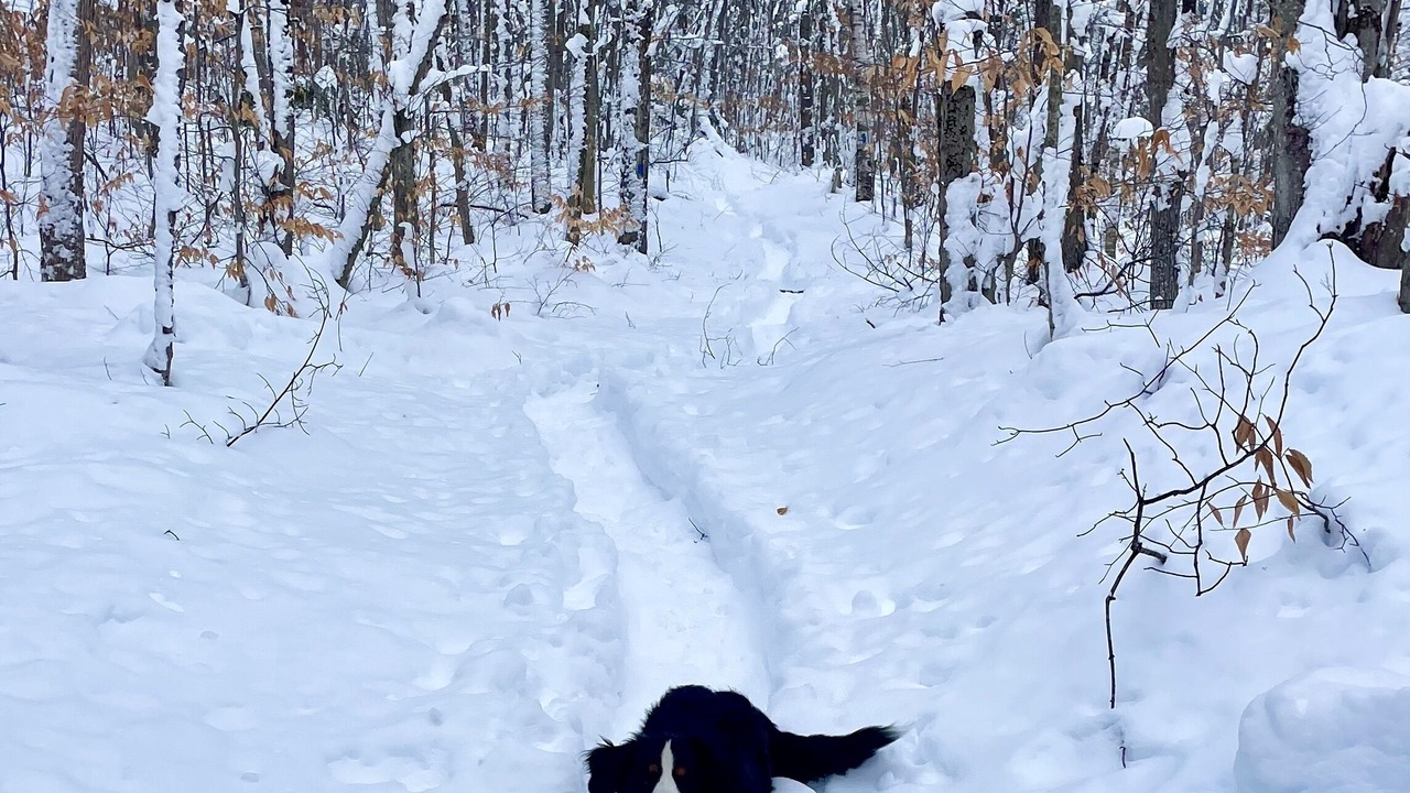 Photo of Others in Ludlow