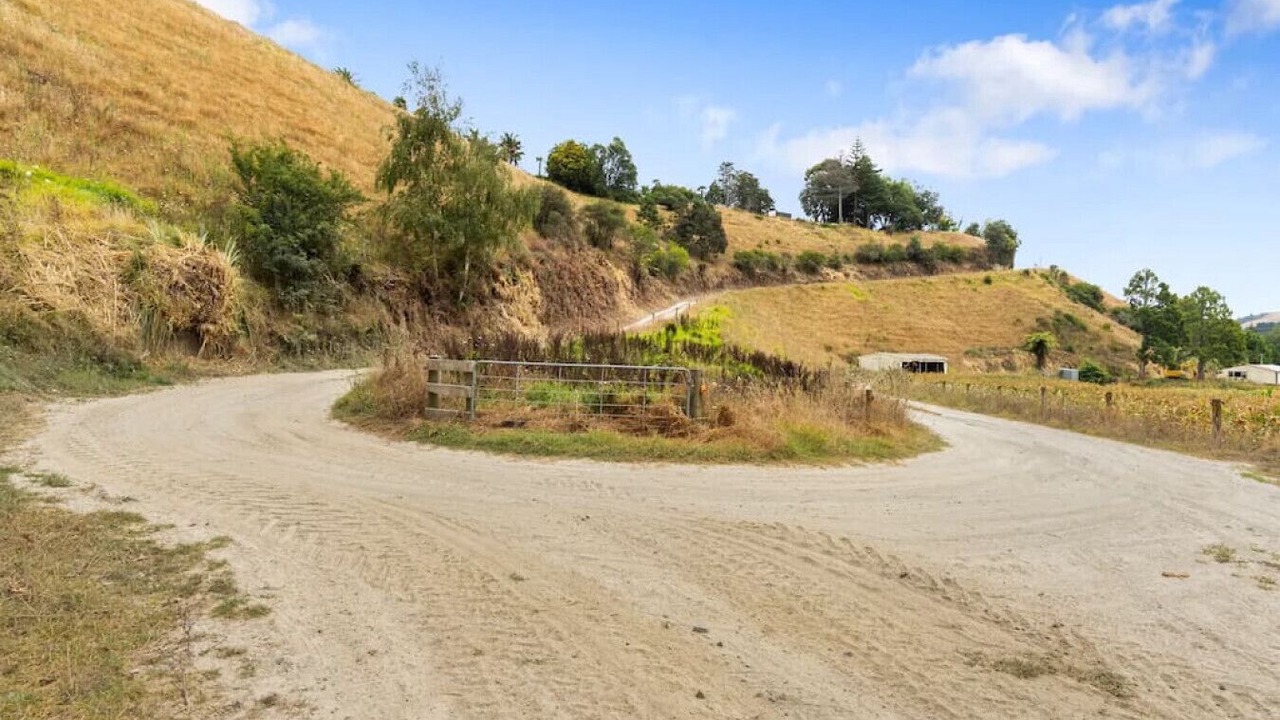 Photo of Outdoor in Pukehina