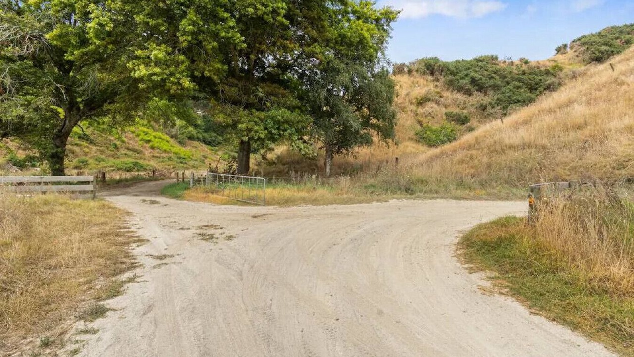 Photo of Outdoor in Pukehina