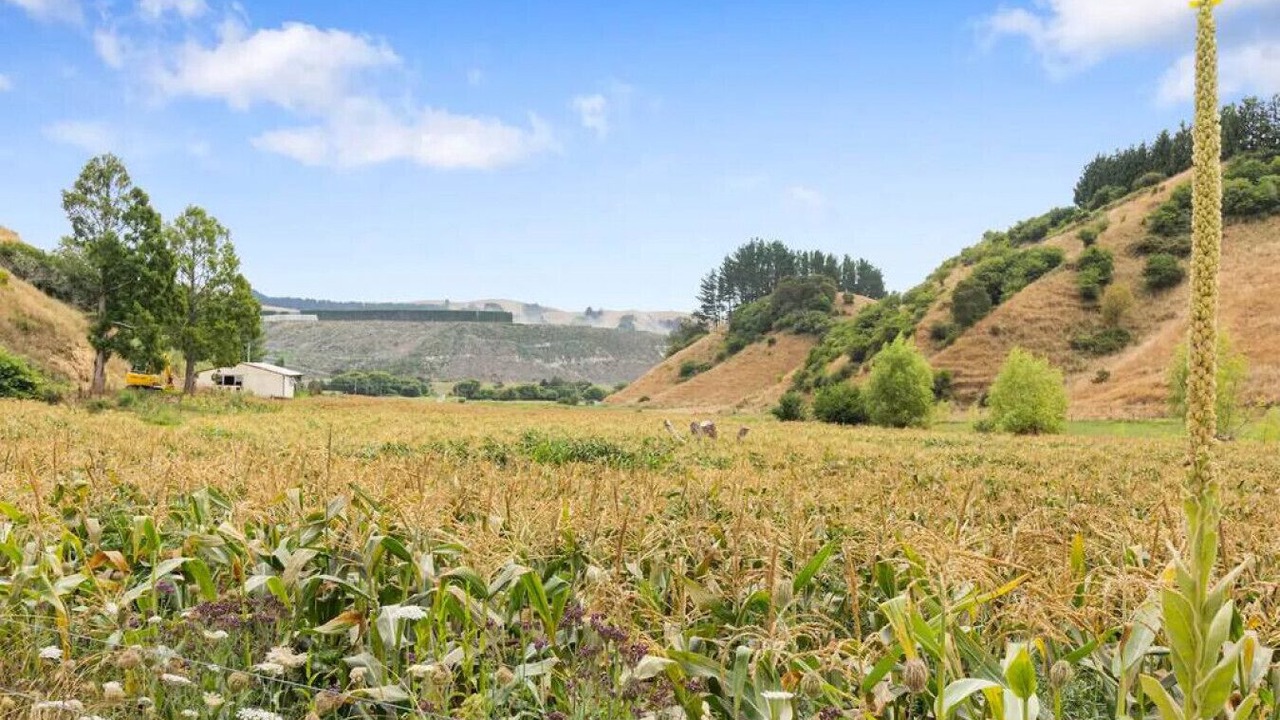 Photo of Outdoor in Pukehina