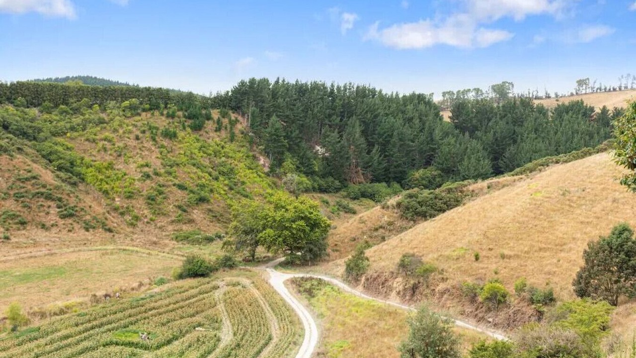 Photo of Others in Pukehina