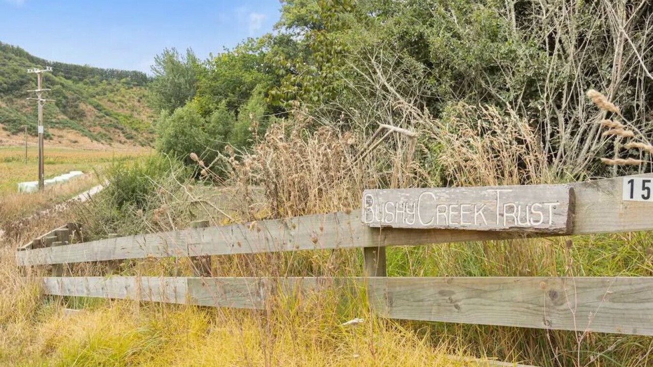 Photo of Outdoor in Pukehina
